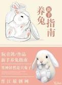 新手养兔指南图片