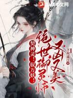 绝世驭灵师72章