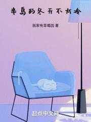 半岛的冬天不太冷TXT百度免费