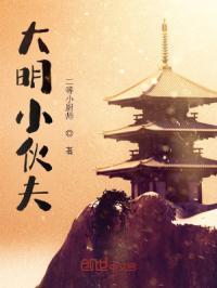 大明小伙夫怎么不更新了