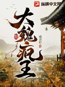 大魏疯王笔趣阁无弹窗