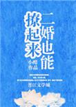 二婚也撩人全文免费