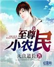 至尊小农民一共多少集