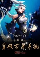 极品掠夺系统