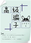 高级什么意思