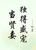 当贤妻独得盛宠完结txt