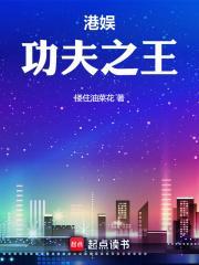 港娱功夫之王起点