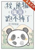 揣崽跑不掉了作者唧唧喵