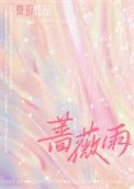 蔷薇雨 电视剧