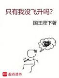 只有我没飞升吗结局
