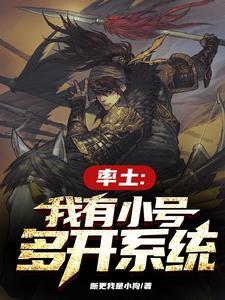 率土之滨 双开