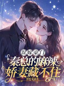 隐婚