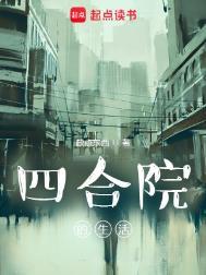 四合院的生活全文阅读