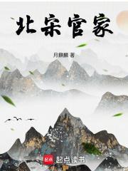 北宋官家在线阅读无弹窗