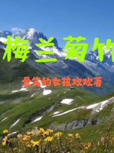 梅兰竹菊的正确顺序