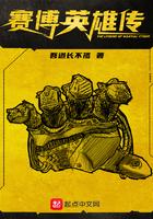 赛博英雄传 知乎