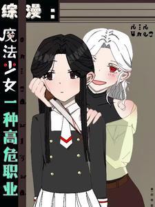 魔法少女这高危职业txt