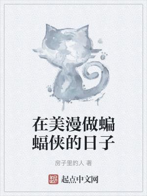 我当蝙蝠侠的那些日子