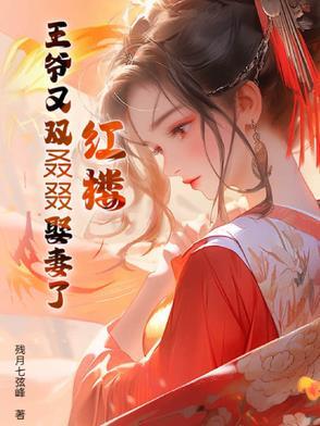 红楼 王爷