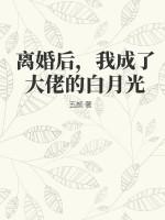 离婚后成了大佬黑月光