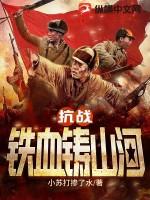 抗战之铁血山河全文免费