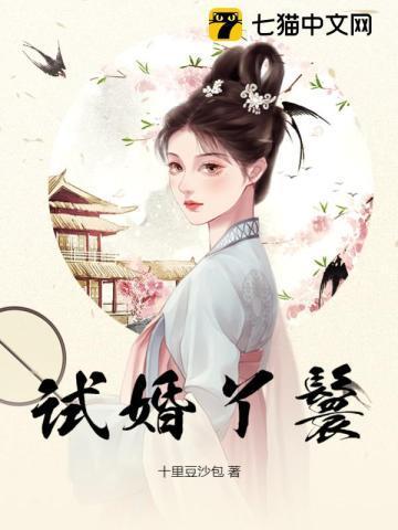 试婚丫鬟毕桂圆儿