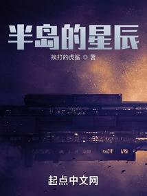 半岛星河二期户型图