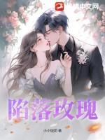 陷落玫瑰第二季全集免费观看