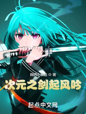 次元之握是什么武器