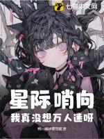 星际哨兵向导的bg
