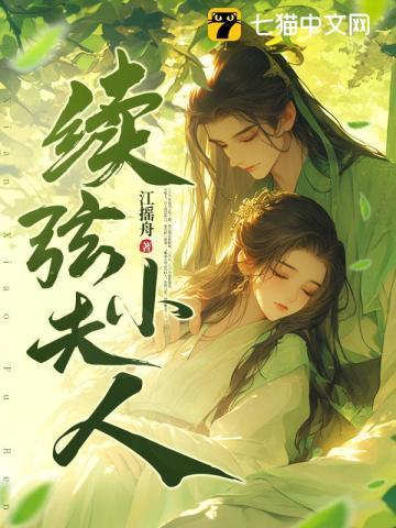 续弦小夫人春喜免费阅读