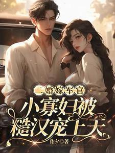 二婚军文