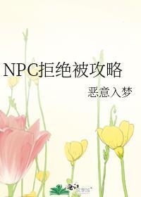 npc拒绝被攻略txt完结版免费阅读