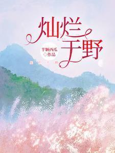 灿烂的后面写什么