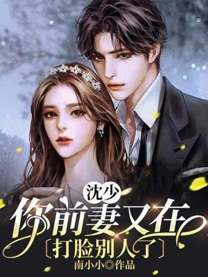 前妻难追 沈棠
