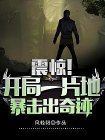 震惊开局一片地暴击出奇迹TXT(风轻阳)