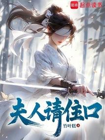 夫人请住手在线阅读全文
