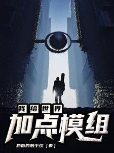 我的世界加模组的软件
