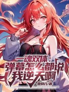 一魂双体汇总