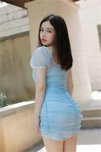 黄飞鸿严师傅