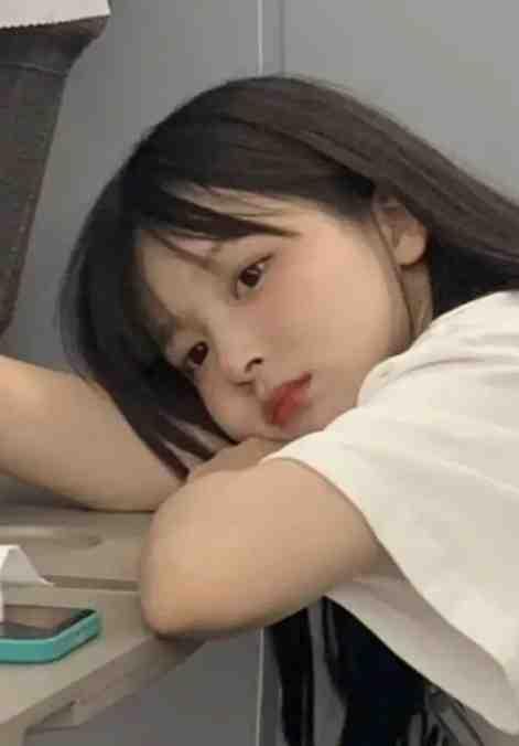 林间小鸟图片欣赏
