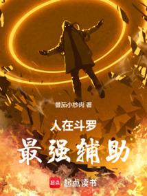 人在斗罗最强辅助十字辅助