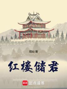 红楼储君成长故事