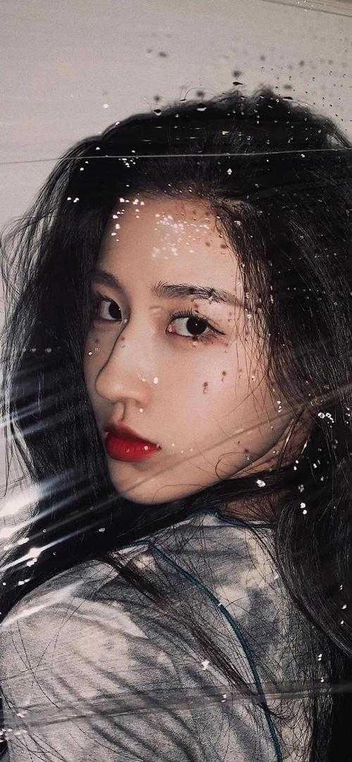 主人公是苏晨的
