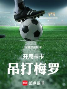 开局卡卡吊打梅罗哪看无错版