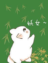 穿成合欢宗女修