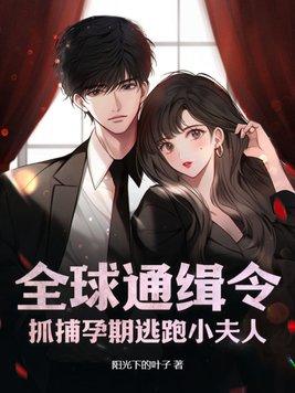 全球通缉小甜妻