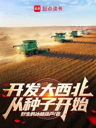 开发大西北是哪一年提出的