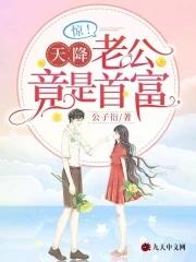 天降豪门老公