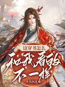 这穿书怎么和我看的不一样! 木木向北 / 著